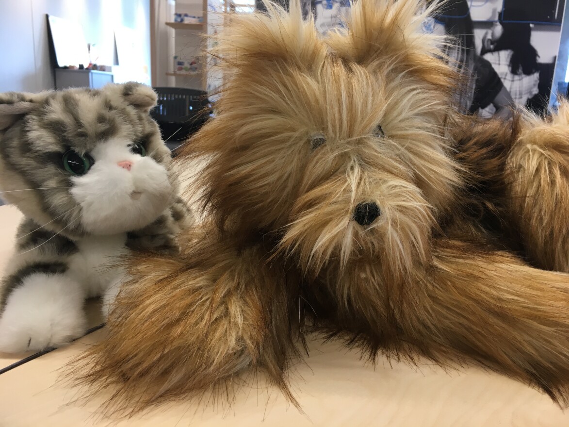 The robotic kitten at left is now out on the market. Students are working on the dog prototype. It is larger than the current model and moves differently.